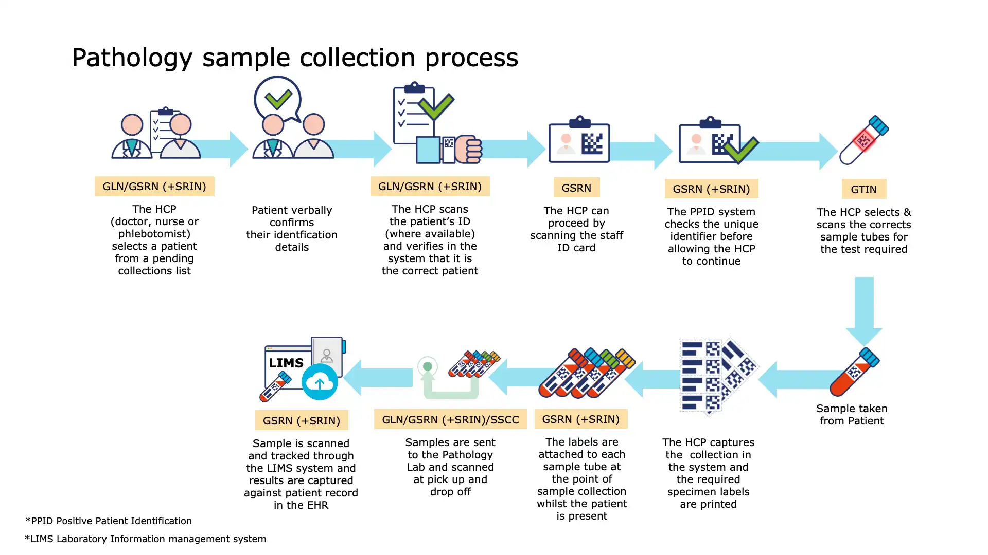 Blood Sample Collection - Result Reporting