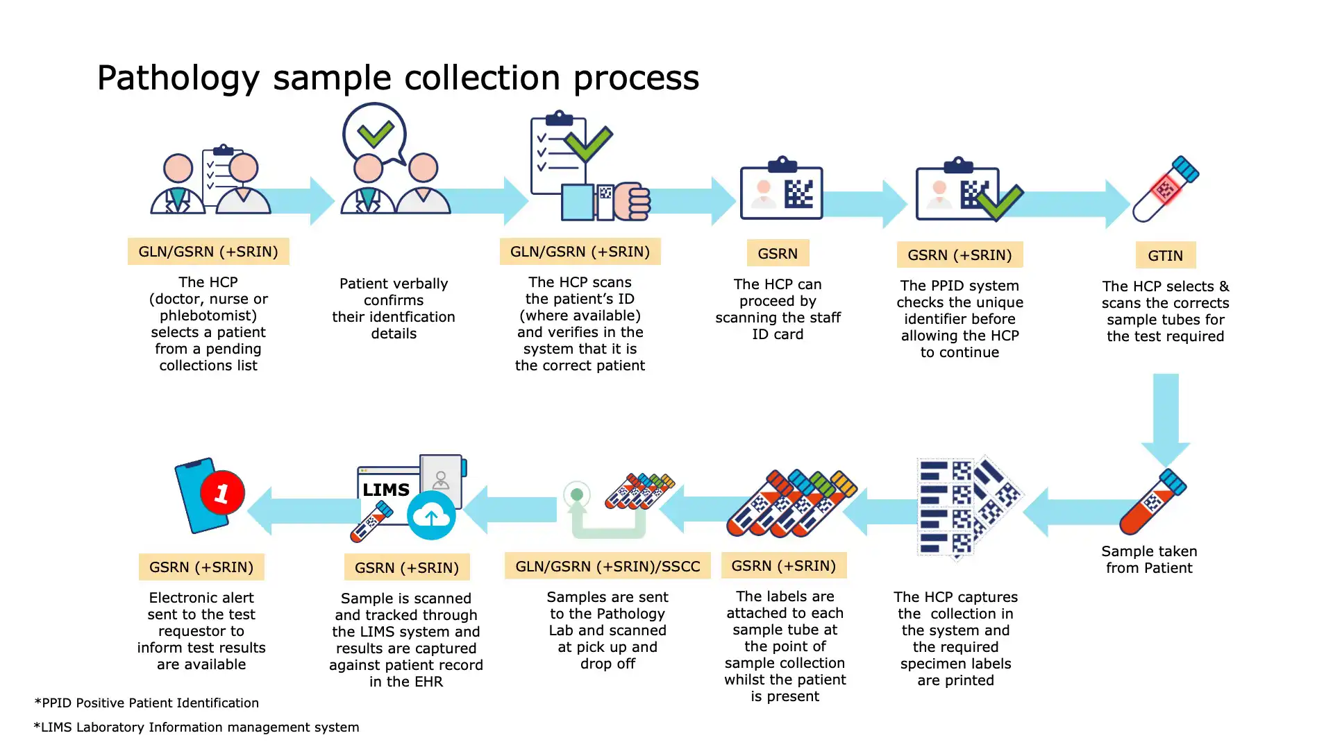 Blood Sample Collection - Documentation