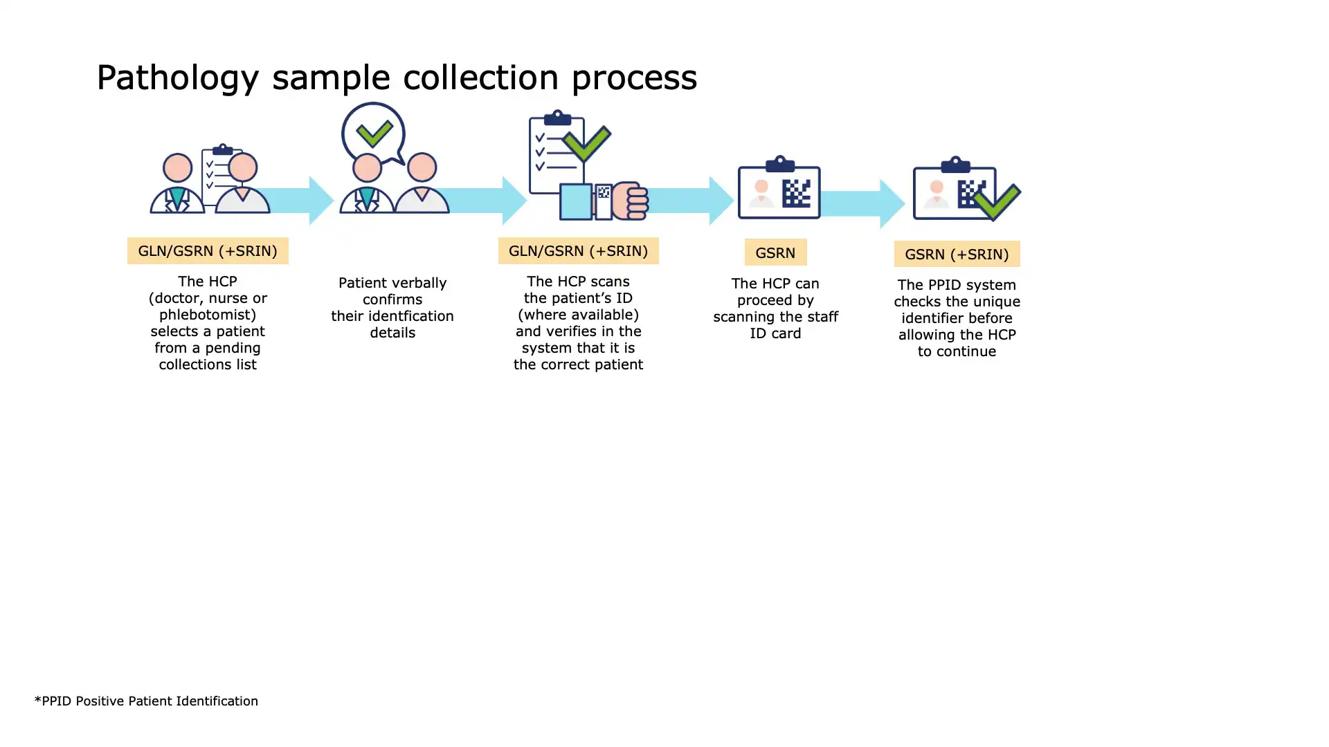 Blood Sample Collection - Sample Storage